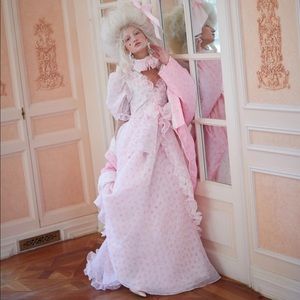 SOLD Selkie Collection The Parfait Poet Marie Gown in 1X